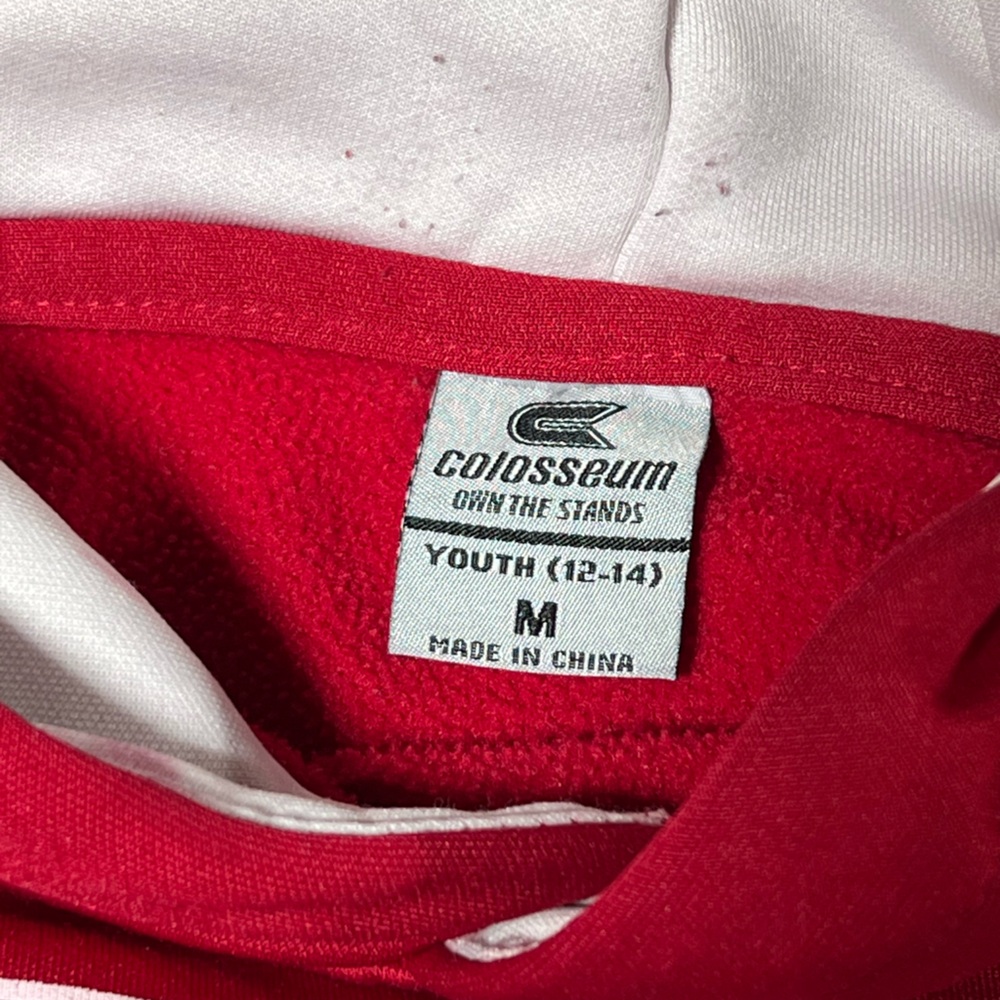 Colosseum Wisconsin Badgers hoodie size youth medium. - Picture 6 of 6